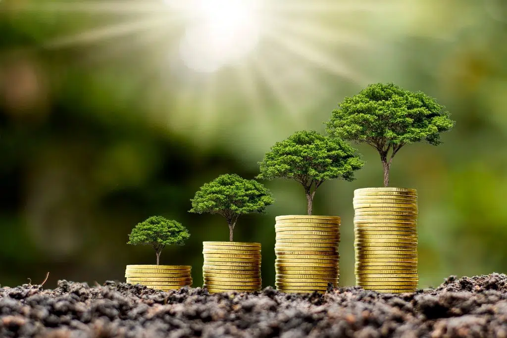 Green finance and sustainability